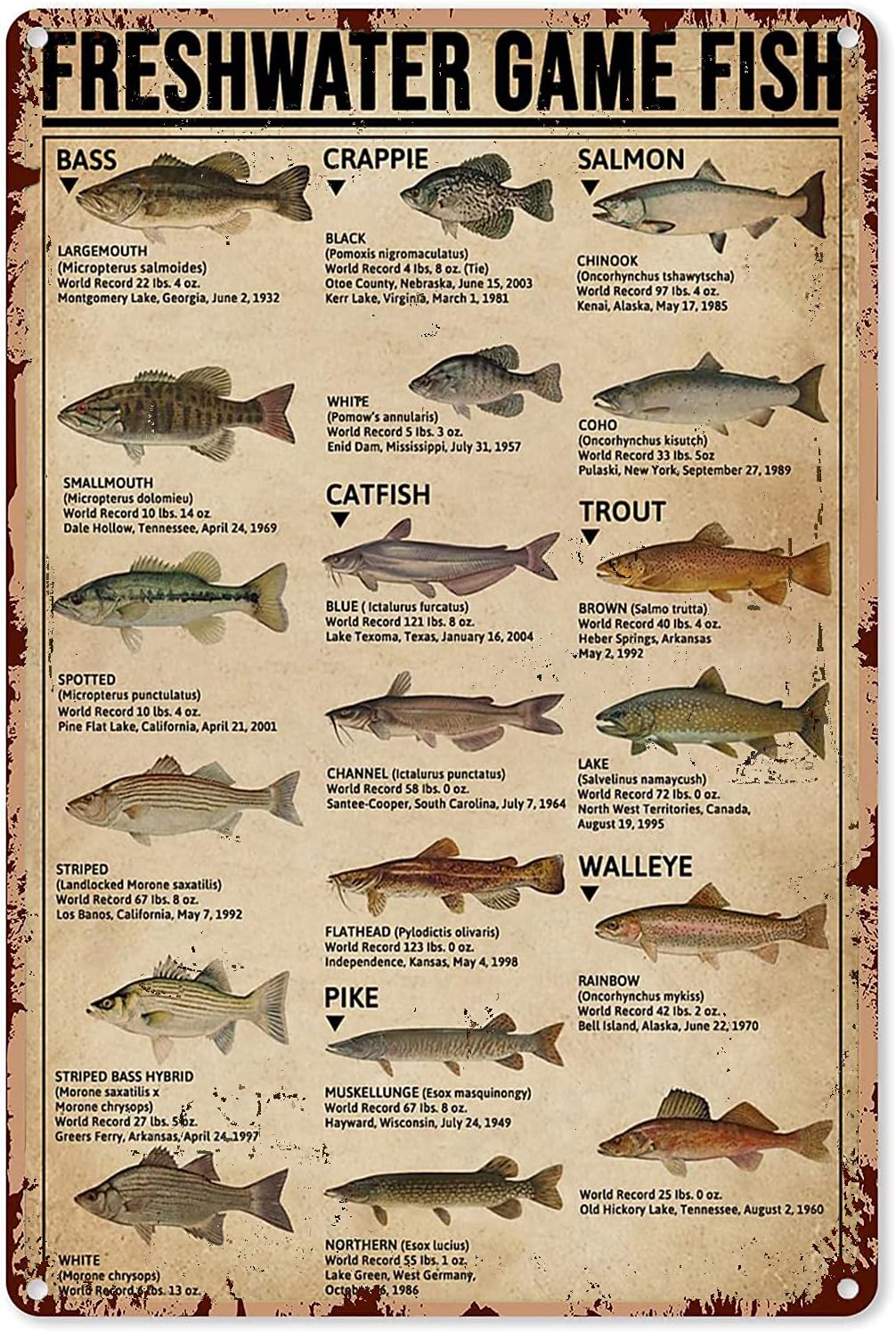 Y1,Fishing Art Posters Metal S - Home Improvement Game ulasan dan harga