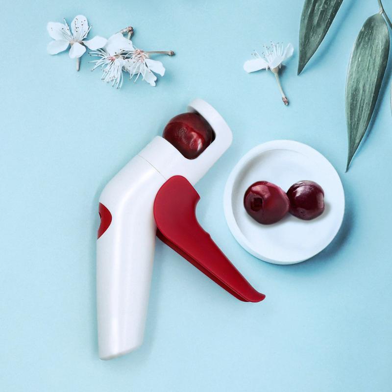 Cherry Red Dates Hawthorn Pitt - Home Improvement House ulasan dan harga