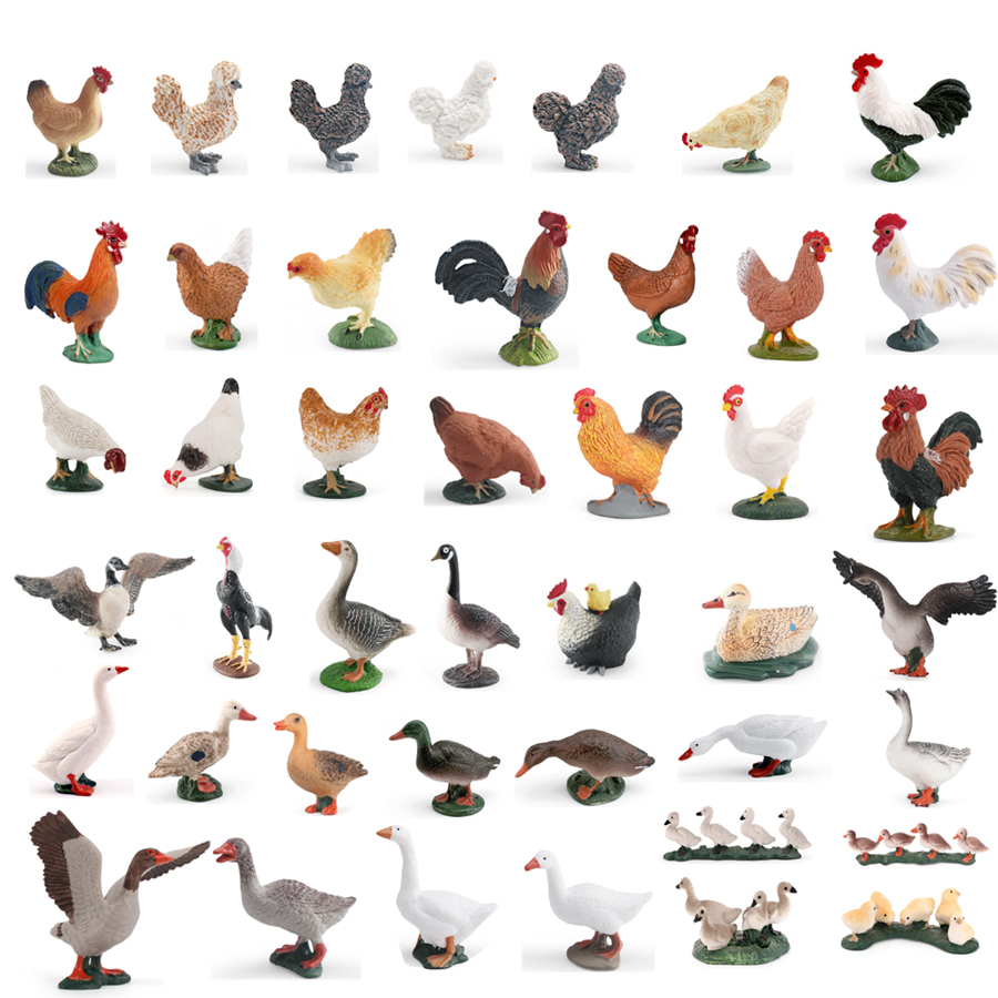 Simulation Farm Poultry Animal - Home Improvement Kids ulasan dan harga