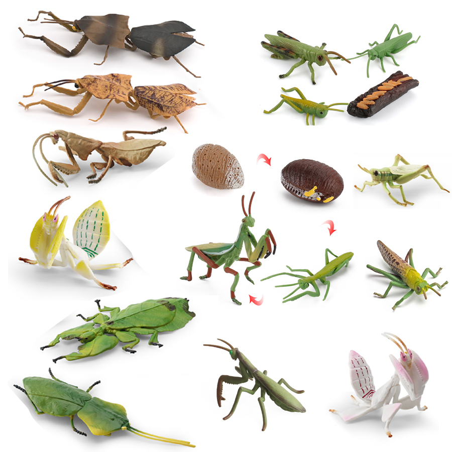 Realistic Orchid Mantis Dead L - Home Improvement Kids ulasan dan harga