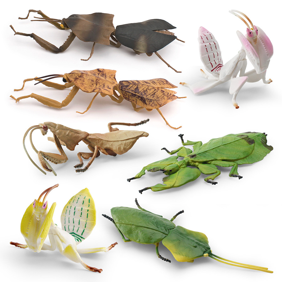 Realistic Orchid Mantis Dead L - Home Improvement Kids ulasan dan harga