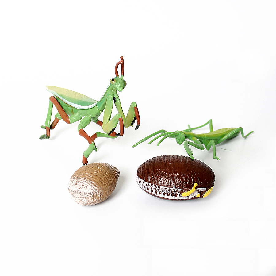 Realistic Orchid Mantis Dead L - Home Improvement Kids ulasan dan harga